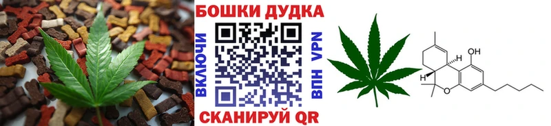 Купить где  Черноголовка  Canna-Cookies конопля 