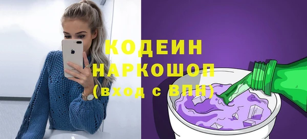 молекула духа Осташков