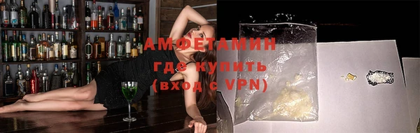 молекула духа Осташков
