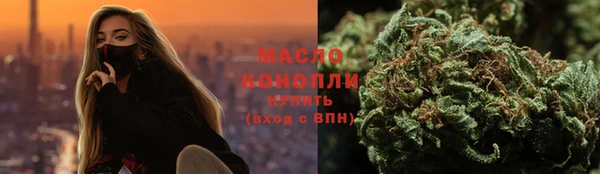 молекула духа Осташков