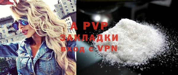 молекула духа Осташков
