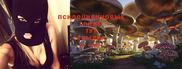 молекула духа Осташков