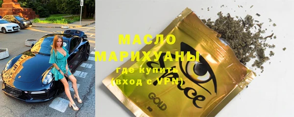 молекула духа Осташков