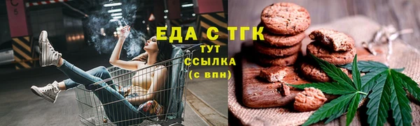 молекула духа Осташков