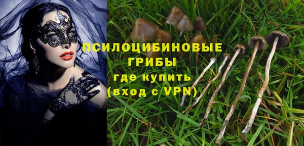 молекула духа Осташков