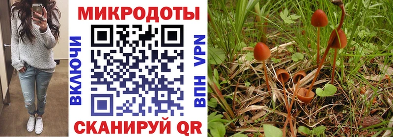 Купить где  Черноголовка  Псилоцибиновые грибы мухоморы 